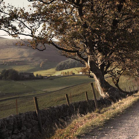 Go for a stroll through the gorgeous Midlothian countryside