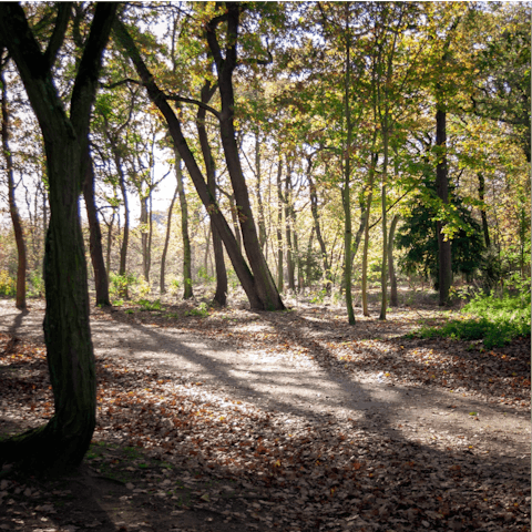 Start the day with a brisk walk through the Bois de Boulogne,