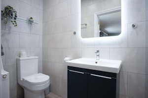 The Greensman image 5