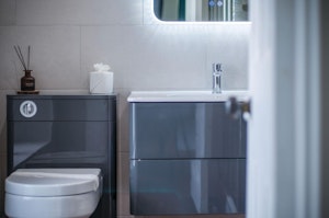 The Greensman image 4