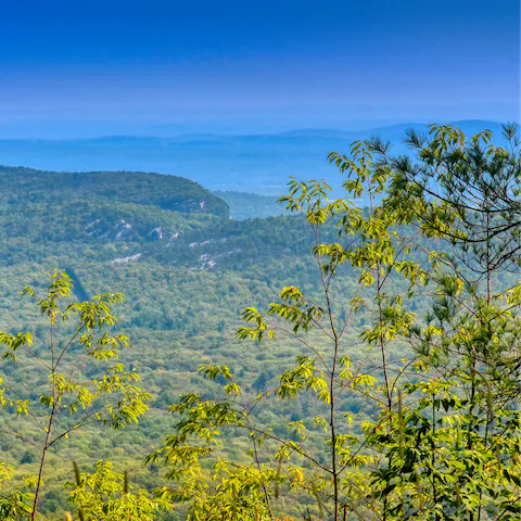Visit Sam's Point Lookout for amazing views, a ten-minute drive away