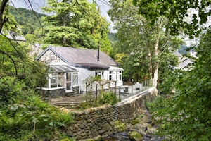 River Reverie image 7