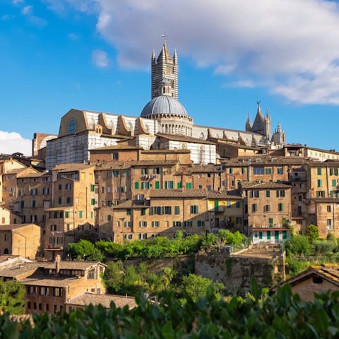 Take a day trip to spectacular Siena – only a sixty–minute drive away