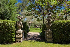 Provence Sunrise image 14