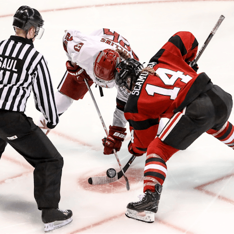 Catch a hockey game at the Centre Bell, with a half-hour walk of your apartment