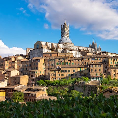 Visit Siena, 45 minutes away by car