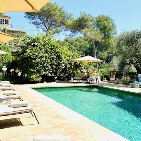 Laze by the poolside, surrounded by flowers and old olive trees