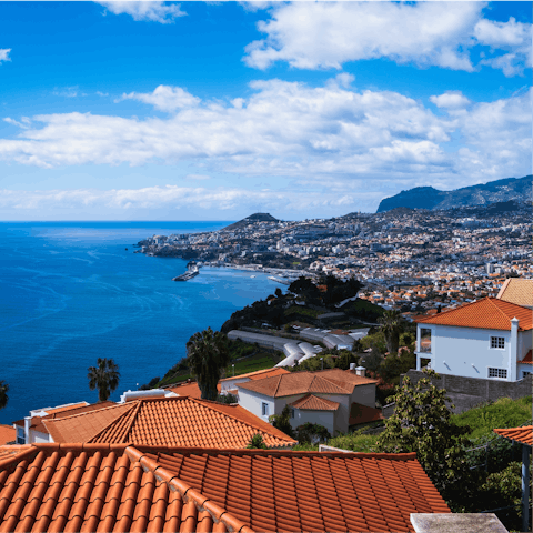 Explore Madeira from this central location near Funchal's promenade