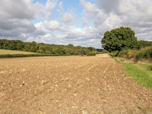 Beauworth's Finest image 7