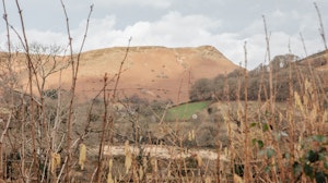 Green Hill image 11