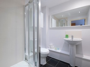 Silver Haven image 15