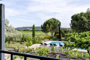 Mulberry & Vines image 12