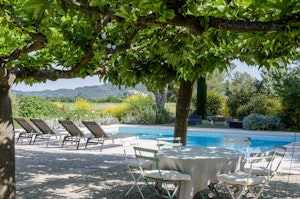 Mulberry & Vines image 13