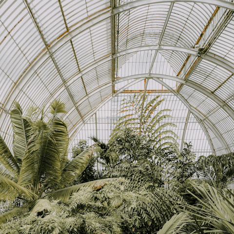 Spend an afternoon exploring nearby Kew Gardens