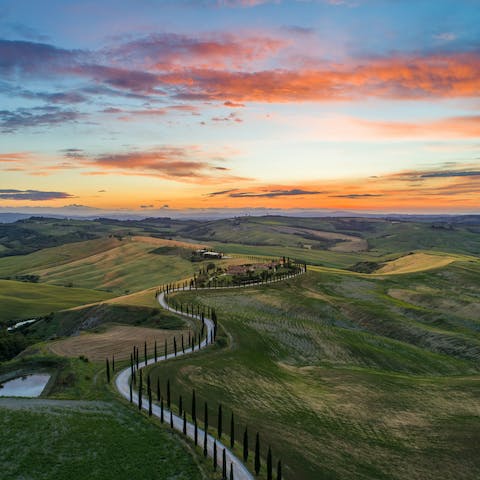 Explore the verdant landscapes throughout Tuscany 