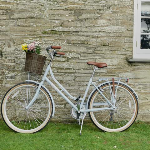Take the cottage's bicycles for a spin along the local Camel Trail