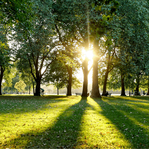 Wind your way to Hyde Park for a refreshing morning stroll