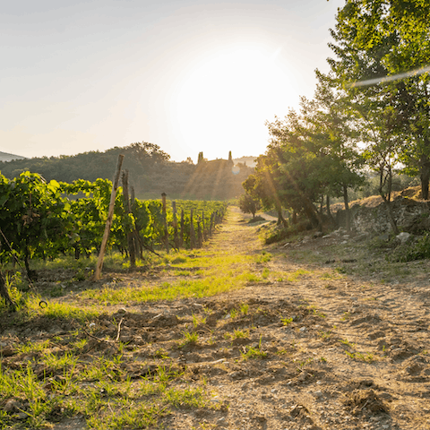 Explore the stunning Tuscan countryside right on your doorstep