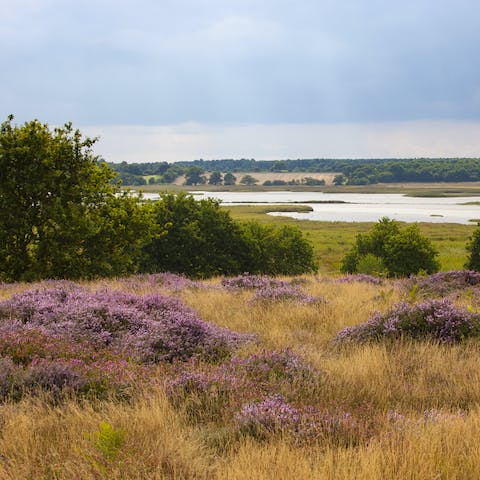 Go out for a drive and explore the natural wonders of East England from this Suffolk location 