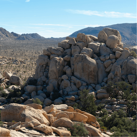 Drive to the entrance of Joshua Tree National Park in less than ten minutes