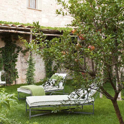 Relax among the pomegranate trees