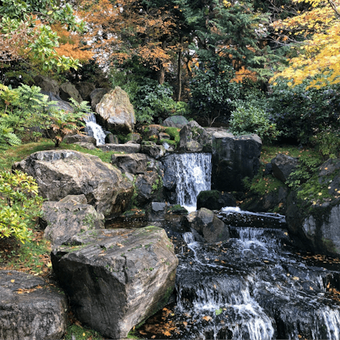 Find serenity in the Japanese gardens of Holland Park, thirteen minutes from home
