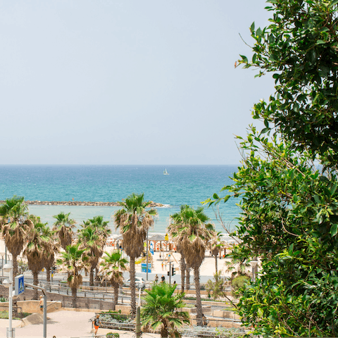 Stay by Akhziv Beach in an ancient area of Israel, near the border of Lebanon