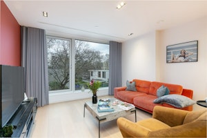 Portobello & Treetops image 11