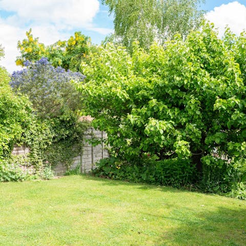 Spread out a picnic on your lush lawn on a balmy afternoon