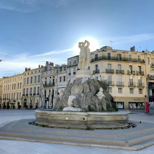 Montpellier Memory image 9