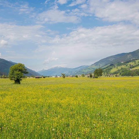 Roam through the spectacular alpine landscapes of the Austrian Alps