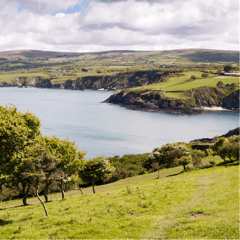 Walk to the sprawling Pembrokeshire Coast National Park in quarter of an hour