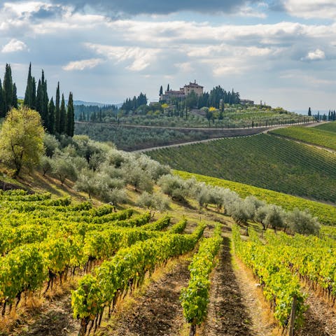 Walk through the vineyards of Radda in Chianti, just fifteen minutes away by car