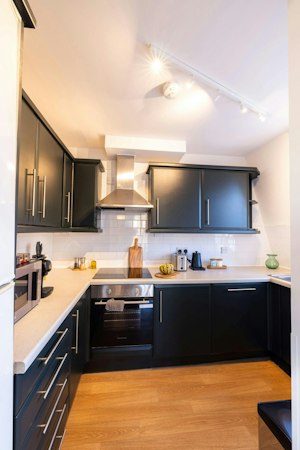 Pimlico Prince image 13