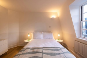 Pimlico Prince image 12