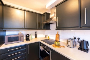 Pimlico Prince image 11