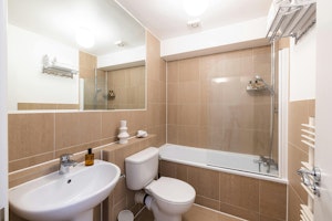 Pimlico Prince image 10