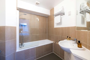 Pimlico Prince image 7