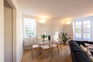 Pimlico Prince image 6