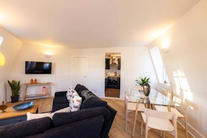 Pimlico Prince image 5