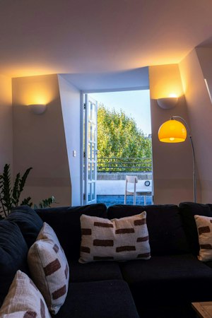 Pimlico Prince image 4