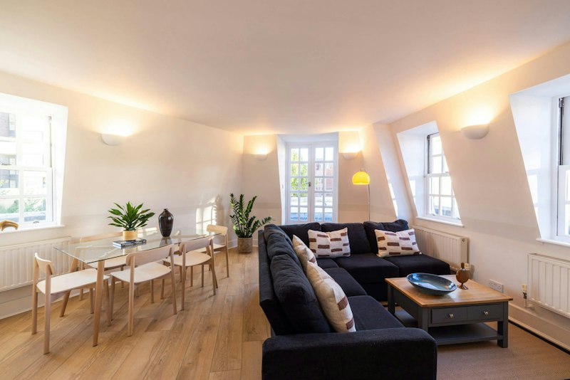 Pimlico Prince main image