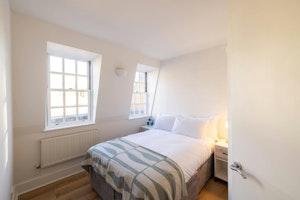 Pimlico Prince image 3