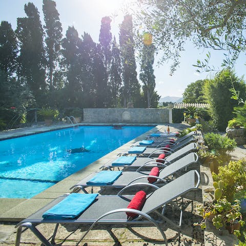 Catch those golden rays by the pool or take a refreshing dip in the glistening water