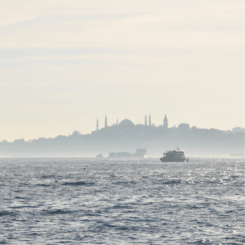 Catch a taxi over to Kabataş ferry terminal in fifteen minutes and go on a cruise on the Bosphorus