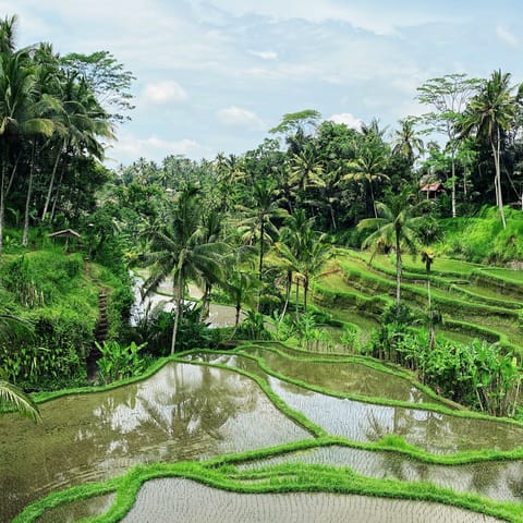 Stay in Ubud, a mystical region of Bali filled with rice paddies and Hindu temples