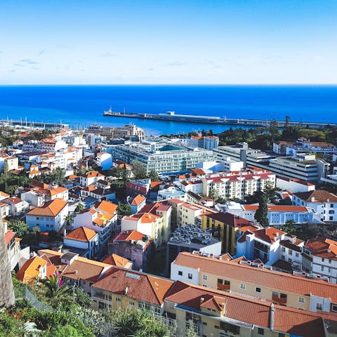 Stay in a peaceful area of Funchal – steps away from the promenade and close to all the action, but on a quiet street