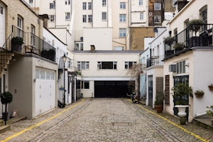 Mews To Me image 15