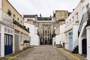 Mews To Me image 4
