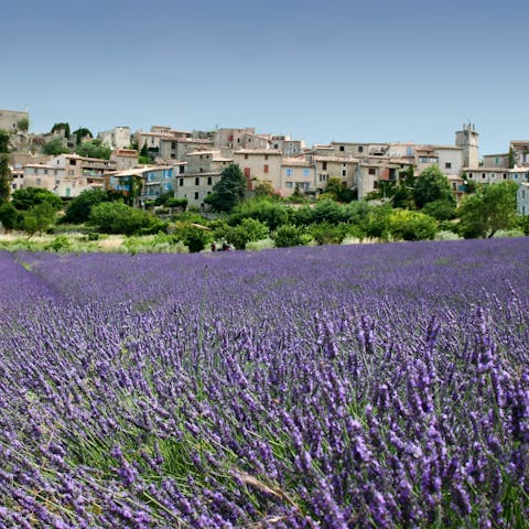 Head into pretty Grasse to learn all about the town’s perfumed history